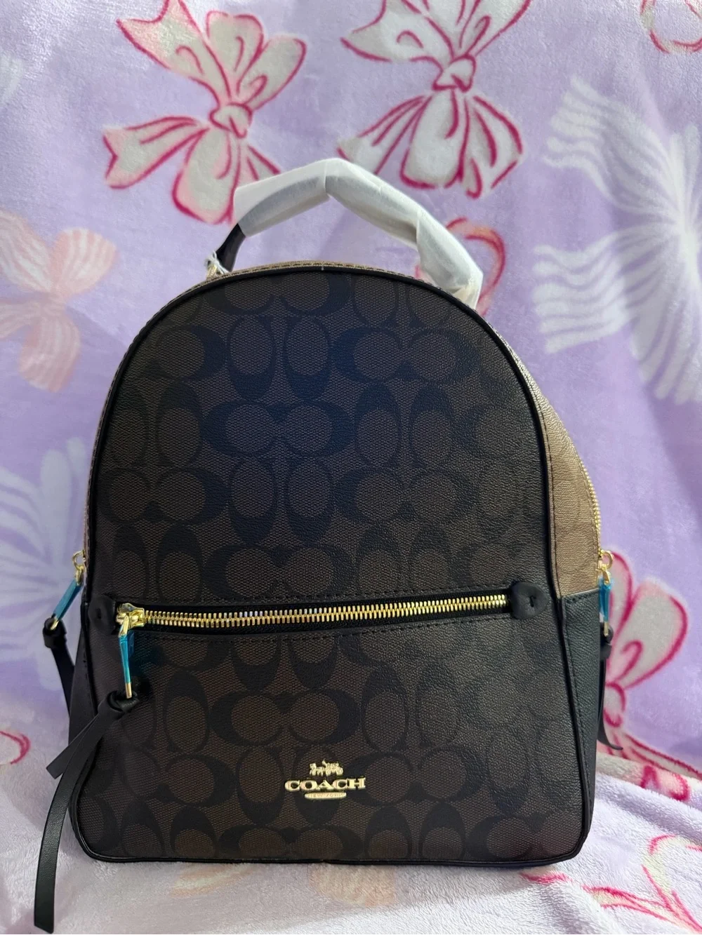 Small brown backpack inspi Coach Signature